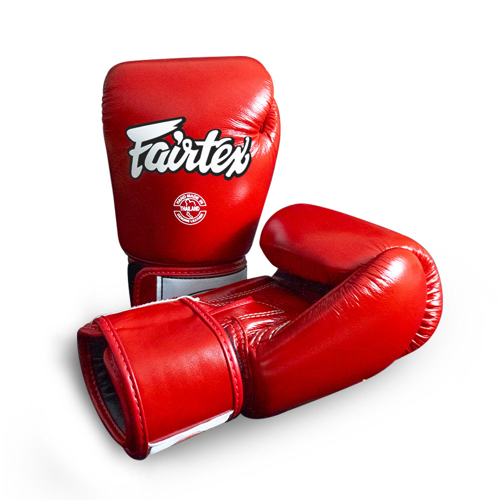 Fairtex Boxing Gloves BGV1