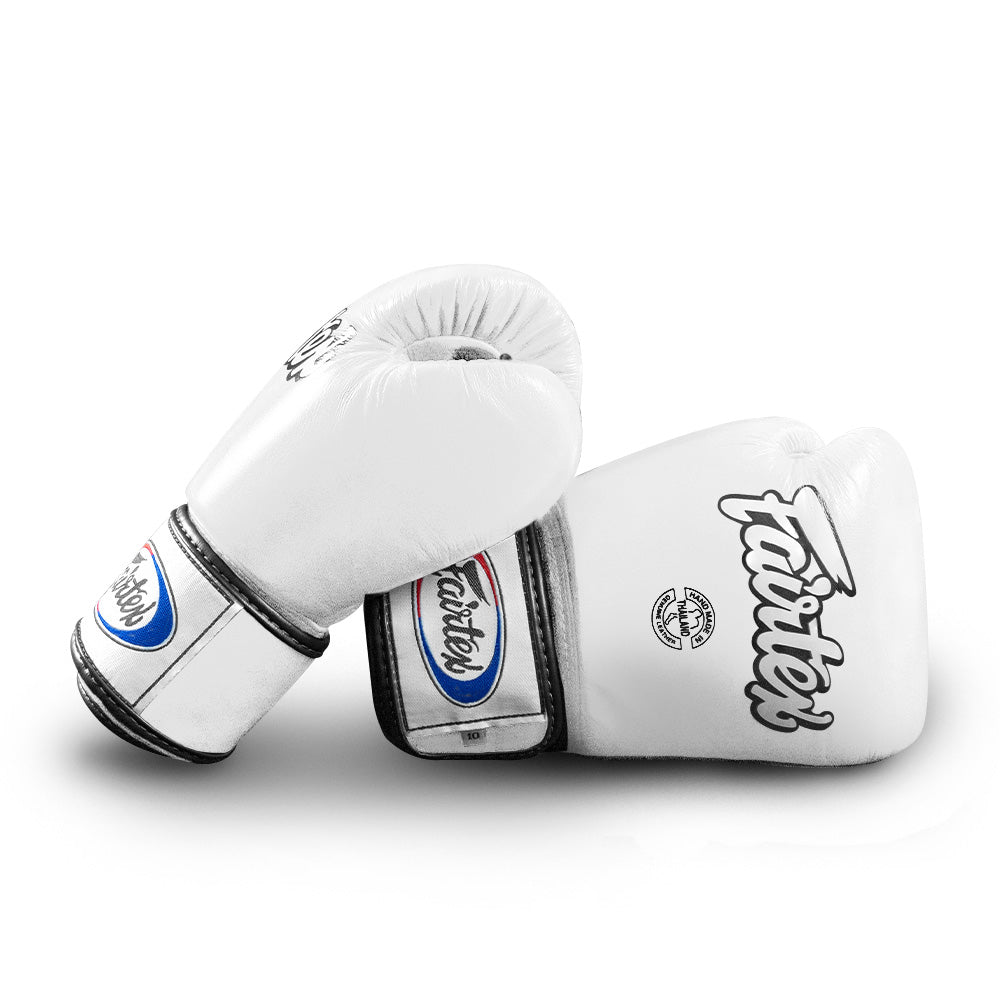 Fairtex Boxing Gloves BGV1