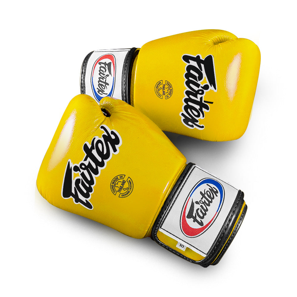 Fairtex Boxing Gloves BGV1