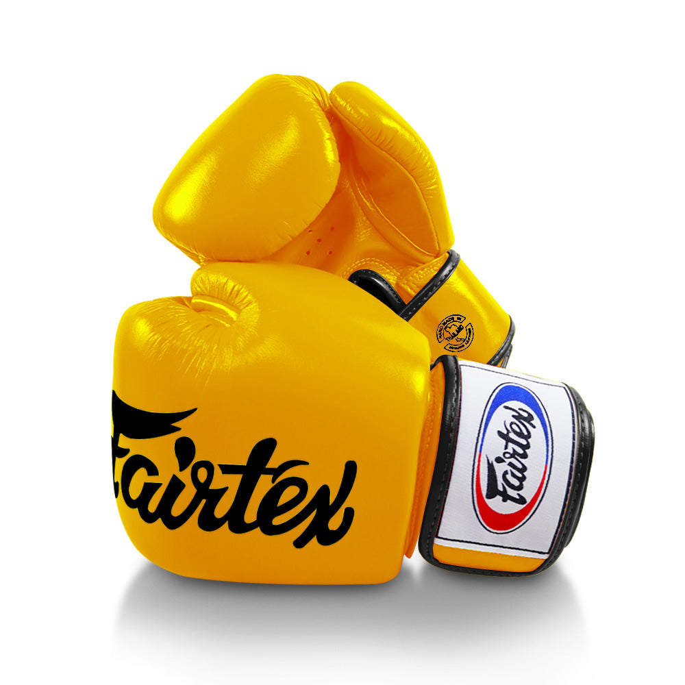Fairtex Deluxe Tight Fit Boxing Gloves BGV19